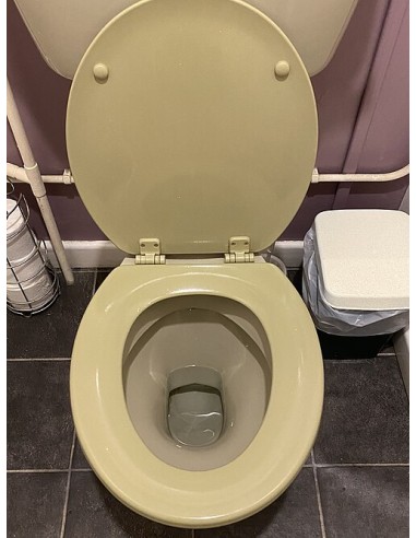 Cuvettes WC à poser (lot de 6)